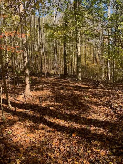 17 Ac Tc Walker Rd Rt 629 Ln, Gloucester, VA 23061 photo 2