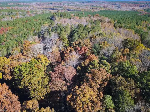 15 Ac Hills Dr, Dinwiddie County, VA 23840