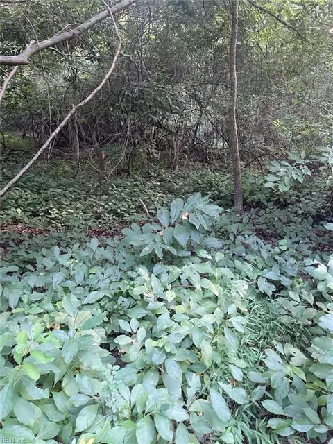 200 Campbell Ln, Newport News, VA 23602