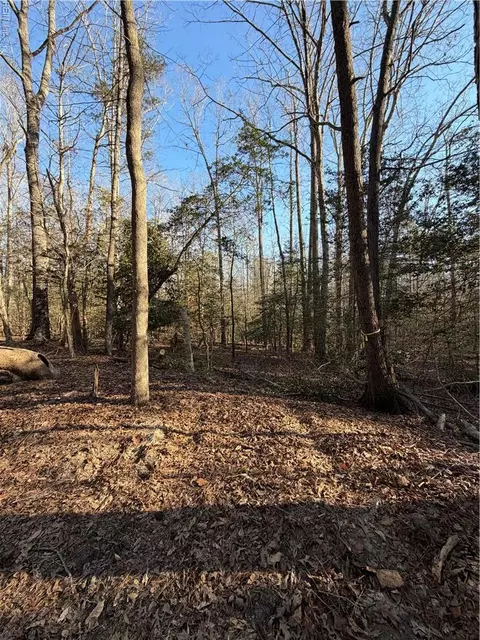 4 68ac King William Rd, King William County, VA 23086
