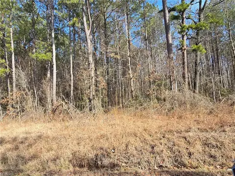 1 Ac Warrique Rd, Southampton County, VA 23866