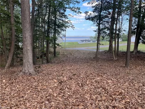 lot1 Cobham Wharf Rd, Surry County, VA 23883