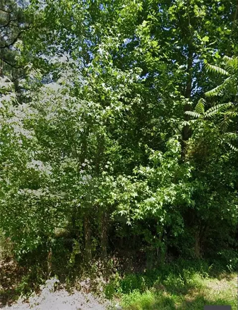 10765 Camp Pond Rd, Suffolk, VA 23437 photo 2