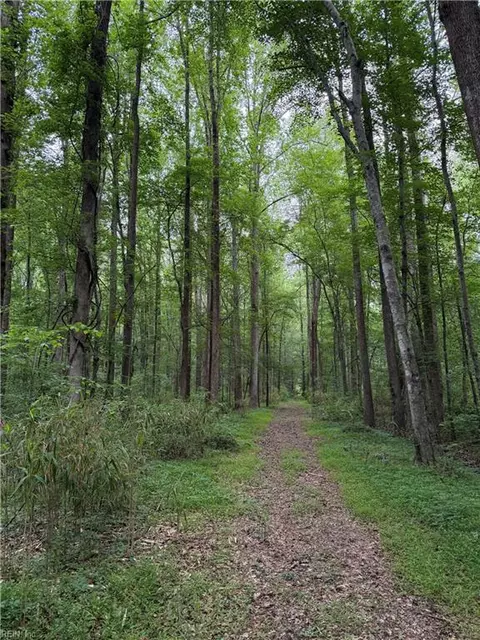 lot38 Trinkle St, Chesapeake, VA 23322