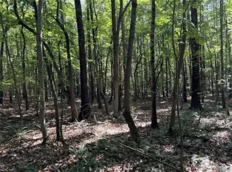 44 Ac Blue Jay St, Danville City, VA 24541