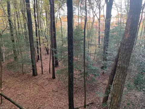 10 Ac Groton Tract A Woods, Accomack County, VA 23417
