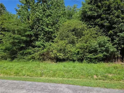 lot2 Branch Bridge St, Southampton County, VA 23828