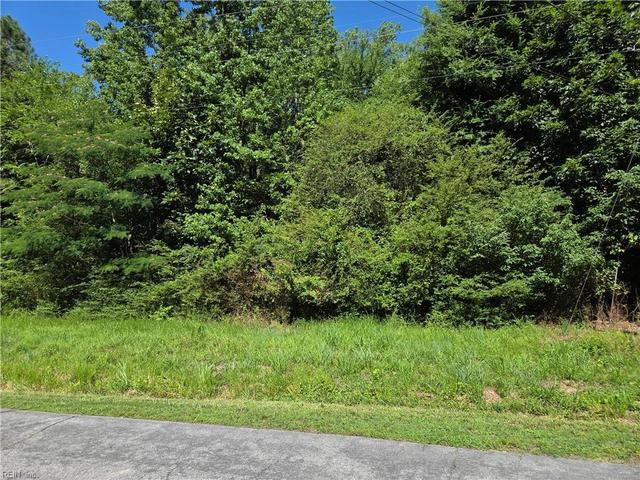 lot2 Branch Bridge St, Southampton County, VA 23828