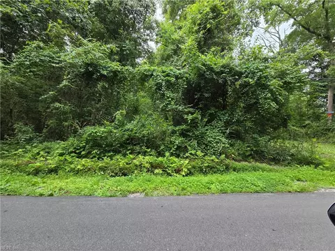 37 Acre Mineral Spring Rd, Suffolk, VA 23438