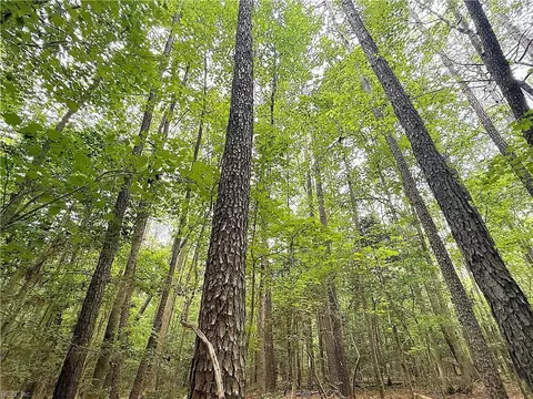 47 Ac Colonial Trl W, Surry County, VA 23881 photo 24