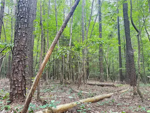 47 Ac Colonial Trl W, Surry County, VA 23881 photo 23