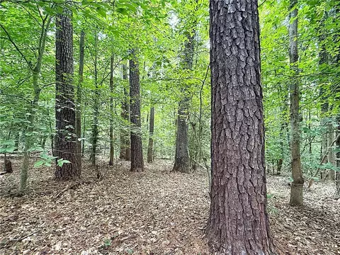 47 Ac Colonial Trl W, Surry County, VA 23881 photo 8