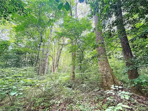 47 Ac Colonial Trl W, Surry County, VA 23881 photo 12