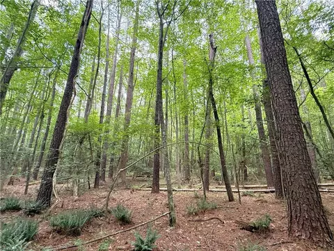 47 Ac Colonial Trl W, Surry County, VA 23881 photo 19