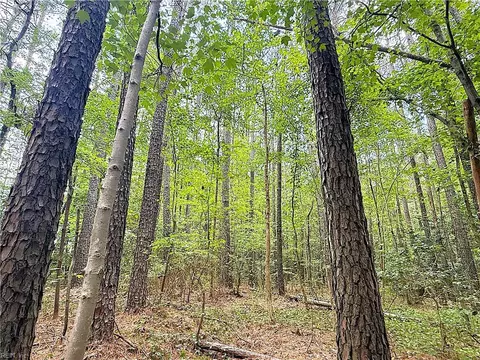 47 Ac Colonial Trl W, Surry County, VA 23881 photo 17
