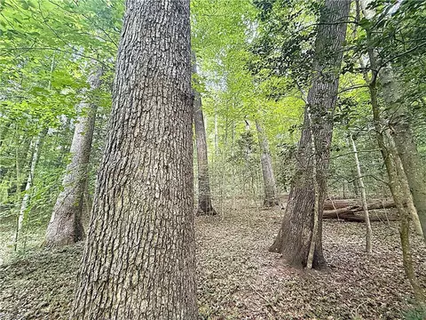 47 Ac Colonial Trl W, Surry County, VA 23881 photo 9