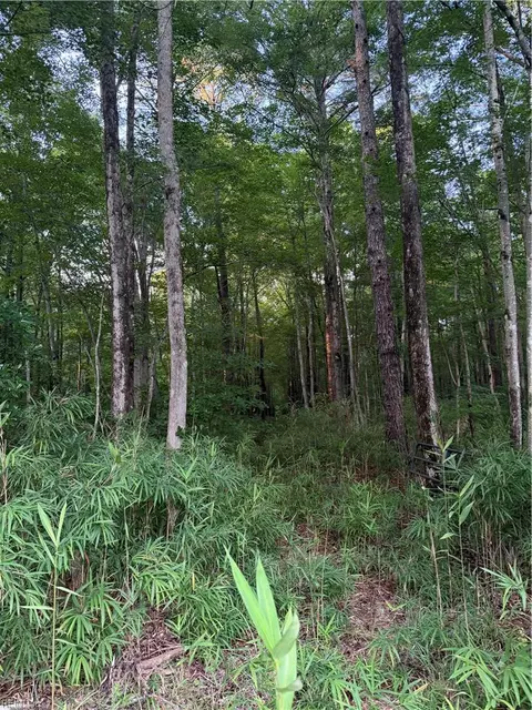 lot6 Tuck St, Chesapeake, VA 23322
