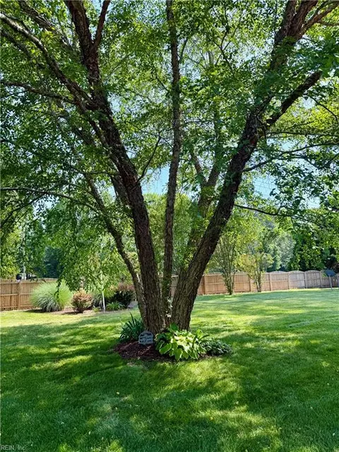 Exterior - 8776 Adams Dr E, Suffolk, VA 23433 photo 4 of 6