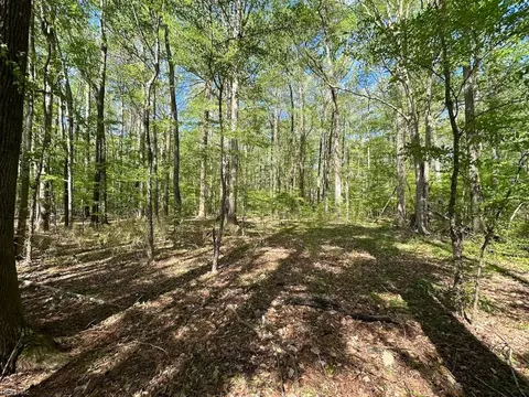 42 4 Acres Benefit Rd, Chesapeake, VA 23322 photo 6