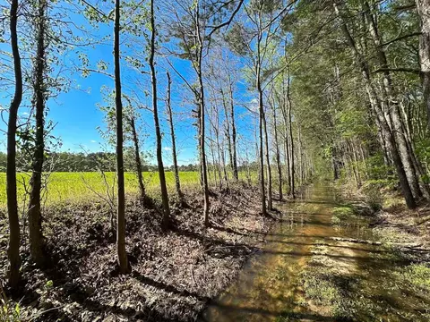 42 4 Acres Benefit Rd, Chesapeake, VA 23322 photo 17