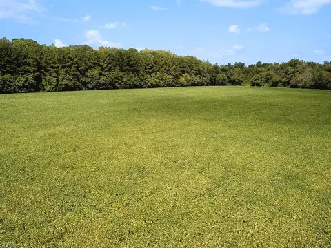 42 4 Acres Benefit Rd, Chesapeake, VA 23322 photo 13