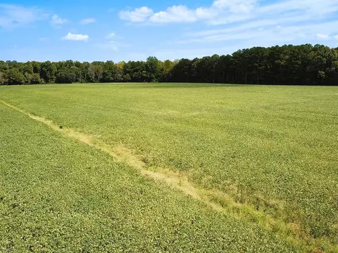 42 4 Acres Benefit Rd, Chesapeake, VA 23322 photo 21