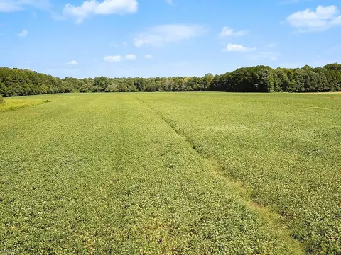 42 4 Acres Benefit Rd, Chesapeake, VA 23322 photo 24