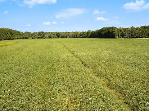 42 4 Acres Benefit Rd, Chesapeake, VA 23322 photo 9
