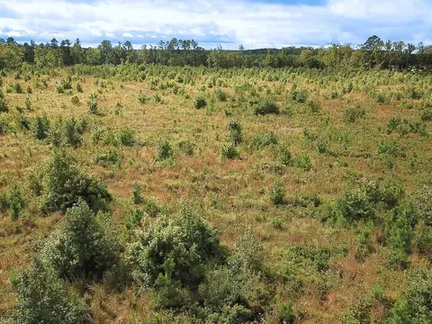 193 Acres Saxis Rd, Accomack County, VA 23427 photo 22
