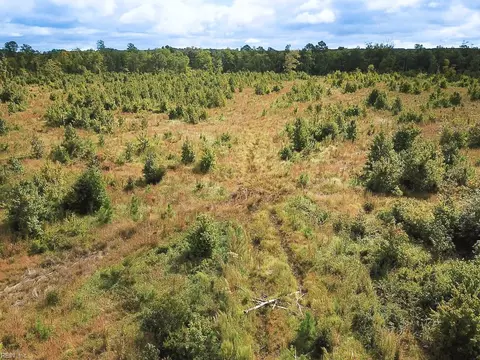 193 Acres Saxis Rd, Accomack County, VA 23427 photo 18
