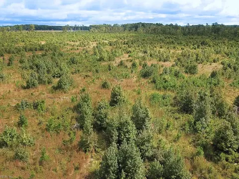 193 Acres Saxis Rd, Accomack County, VA 23427 photo 11