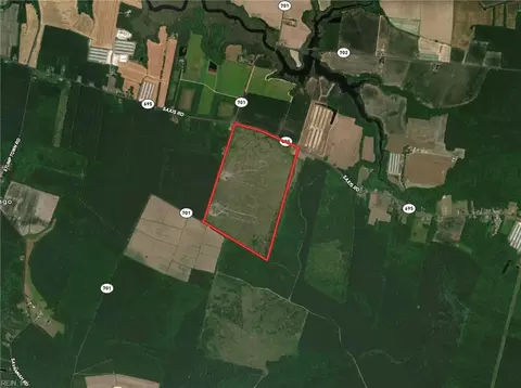 193 Acres Saxis Rd, Accomack County, VA 23427 photo 6