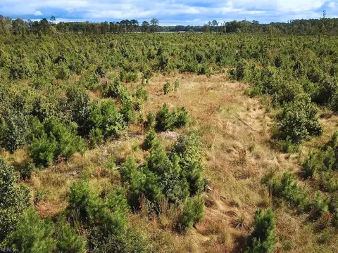 193 Acres Saxis Rd, Accomack County, VA 23427 photo 24