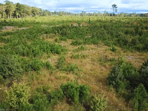 193 Acres Saxis Rd, Accomack County, VA 23427 photo 12