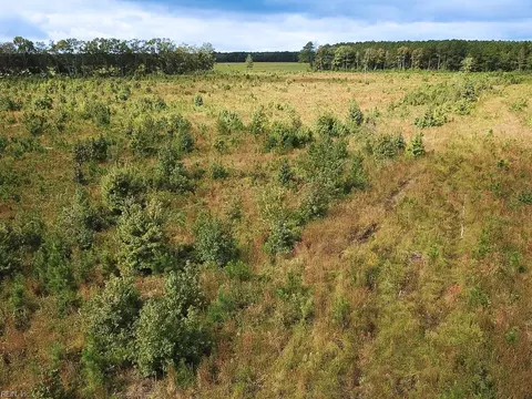 193 Acres Saxis Rd, Accomack County, VA 23427 photo 30