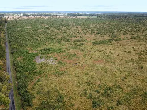 193 Acres Saxis Rd, Accomack County, VA 23427 photo 10