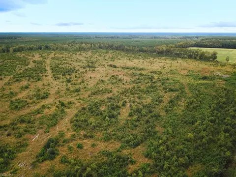 193 Acres Saxis Rd, Accomack County, VA 23427 photo 9