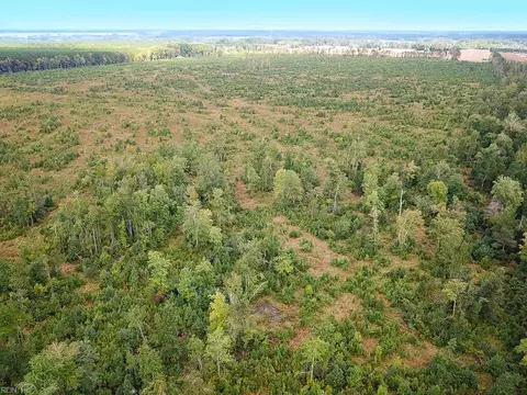 193 Acres Saxis Rd, Accomack County, VA 23427 photo 19