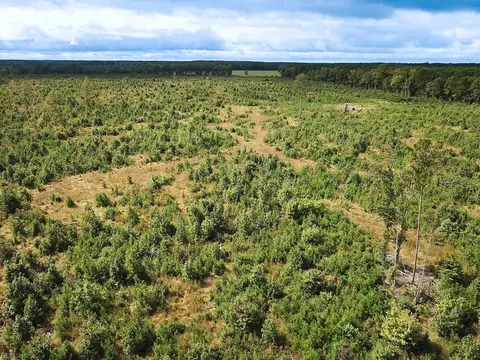 193 Acres Saxis Rd, Accomack County, VA 23427 photo 28