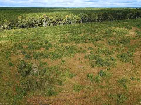 193 Acres Saxis Rd, Accomack County, VA 23427 photo 31