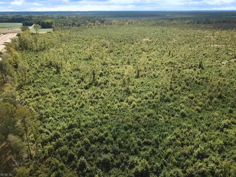 193 Acres Saxis Rd, Accomack County, VA 23427 photo 26
