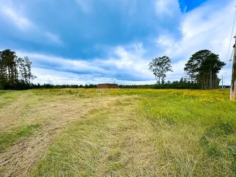 193 Acres Saxis Rd, Accomack County, VA 23427 photo 4
