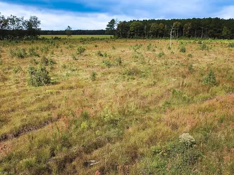 193 Acres Saxis Rd, Accomack County, VA 23427 photo 21