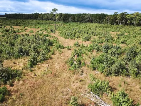 193 Acres Saxis Rd, Accomack County, VA 23427 photo 14
