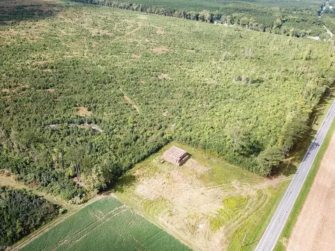 193 Acres Saxis Rd, Accomack County, VA 23427 photo 20