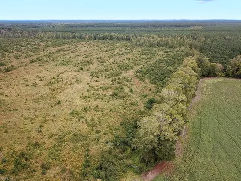 193 Acres Saxis Rd, Accomack County, VA 23427 photo 13