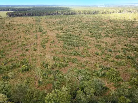 193 Acres Saxis Rd, Accomack County, VA 23427 photo 3