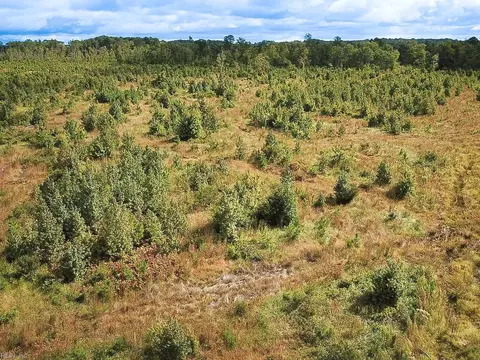 193 Acres Saxis Rd, Accomack County, VA 23427 photo 8