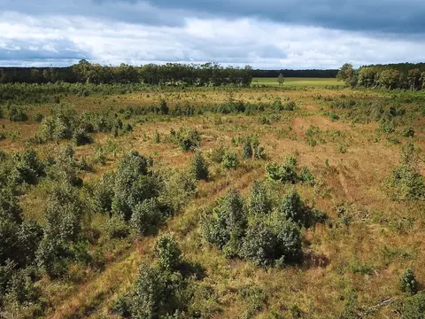 193 Acres Saxis Rd, Accomack County, VA 23427 photo 17
