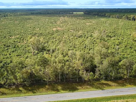 193 Acres Saxis Rd, Accomack County, VA 23427 photo 29
